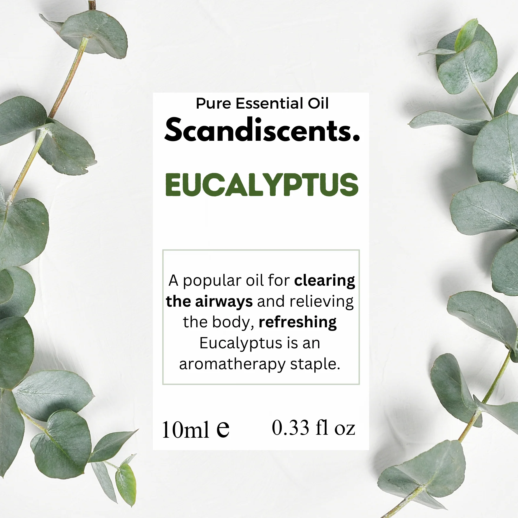 Eucalyptus - Image 3