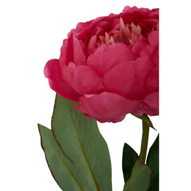 Fiori Fuchsia Peony Flower Stem - Image 9