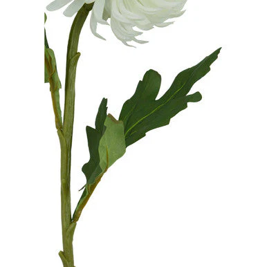 Fiori White Blazing Star Flower Stem - Image 10