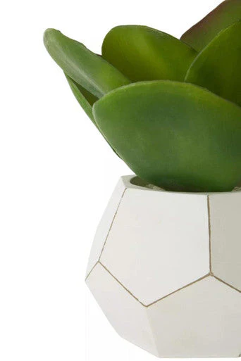Fiori White Cement Pot Succulent - Image 10