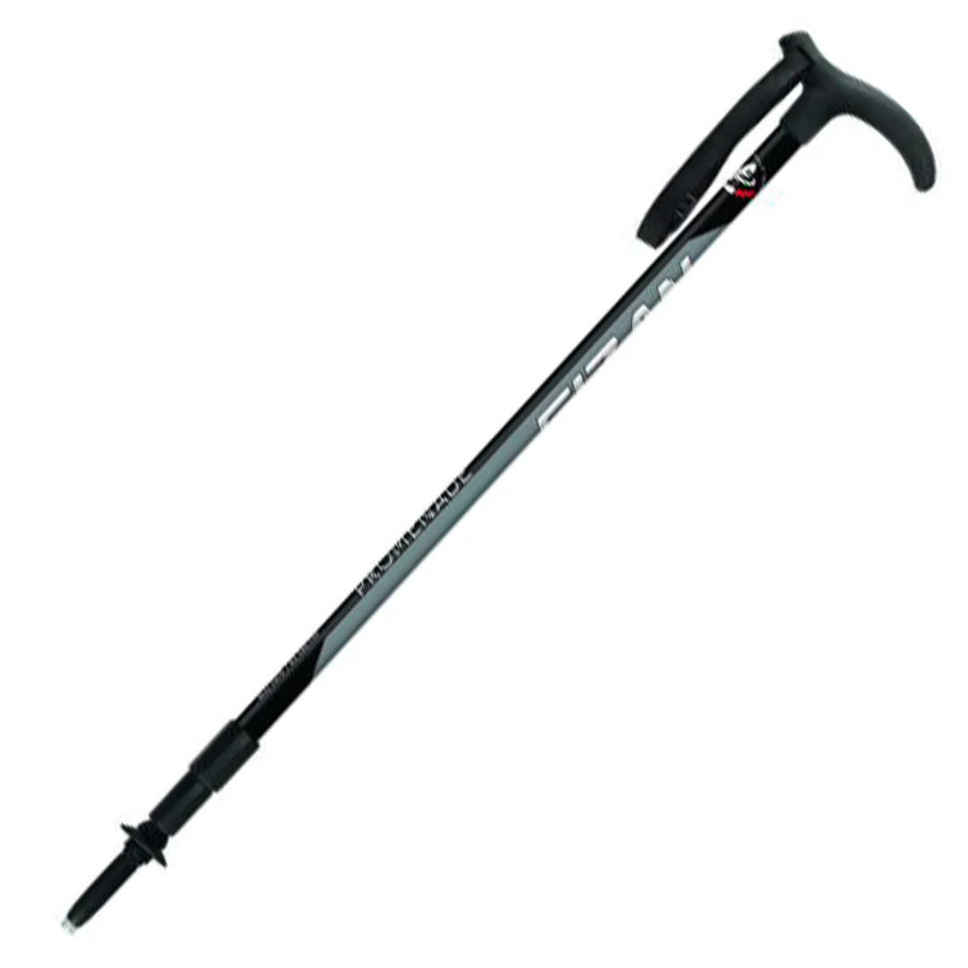Fizan Promenade Walking Pole