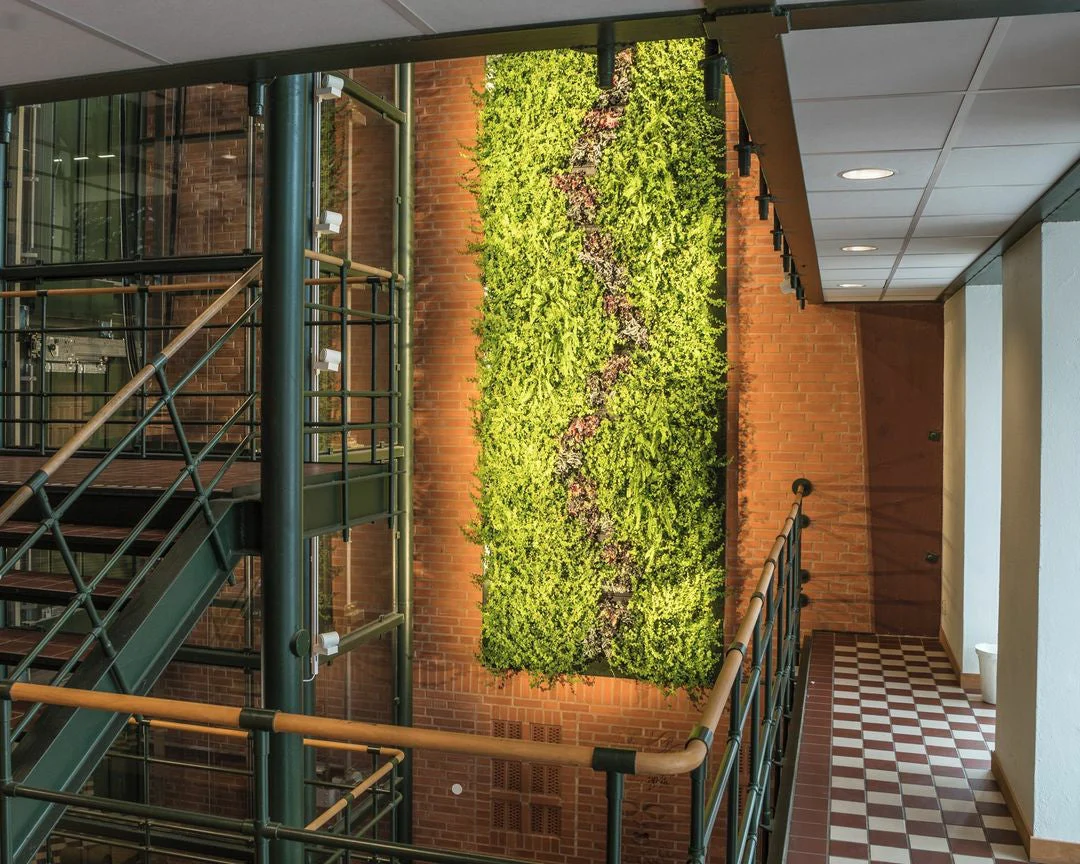 Frameless Living Wall System - Image 14