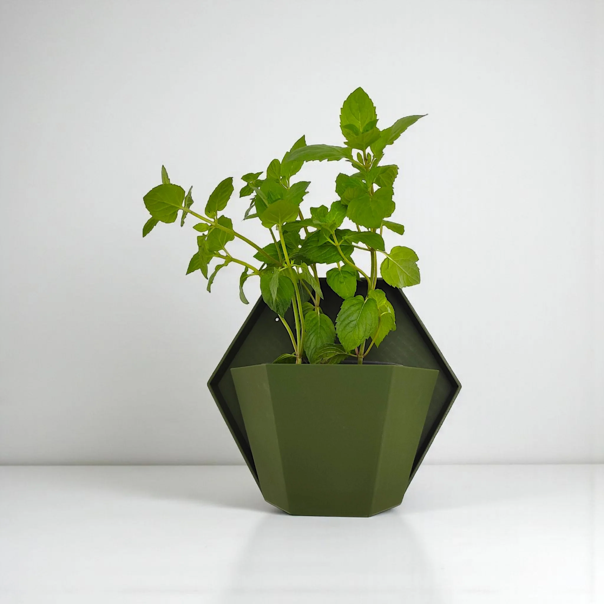 Geometric Wall Planter for Herbs | Modern Wall Mounted Planter - Image 2