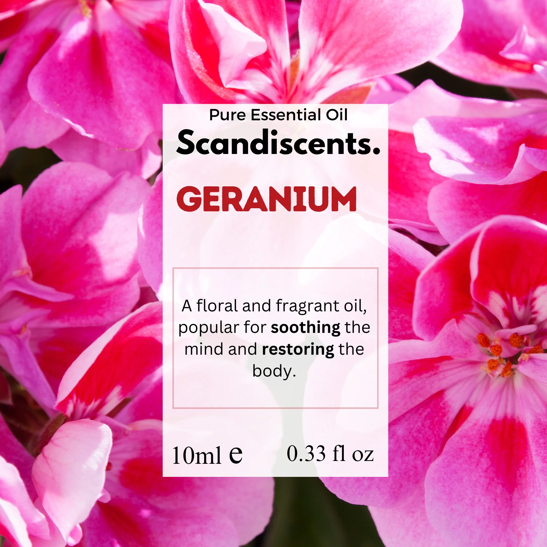 Geranium - Image 3
