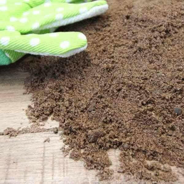Grit Sharp Sand - Image 2