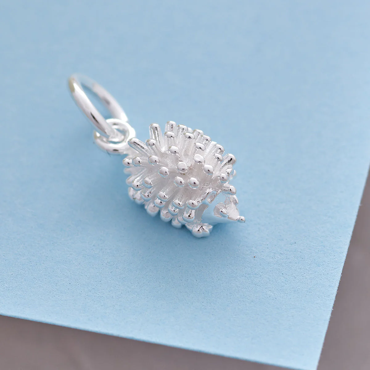 Hedgehog Silver Charm - Image 7