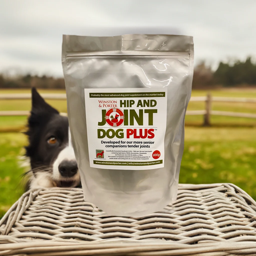 Hip & Joint Dog PLUS – Premium High-Strength Canine Joint Support Powder (UK) - Image 7