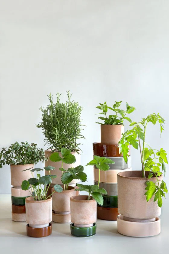 Hoff Pot - Image 2