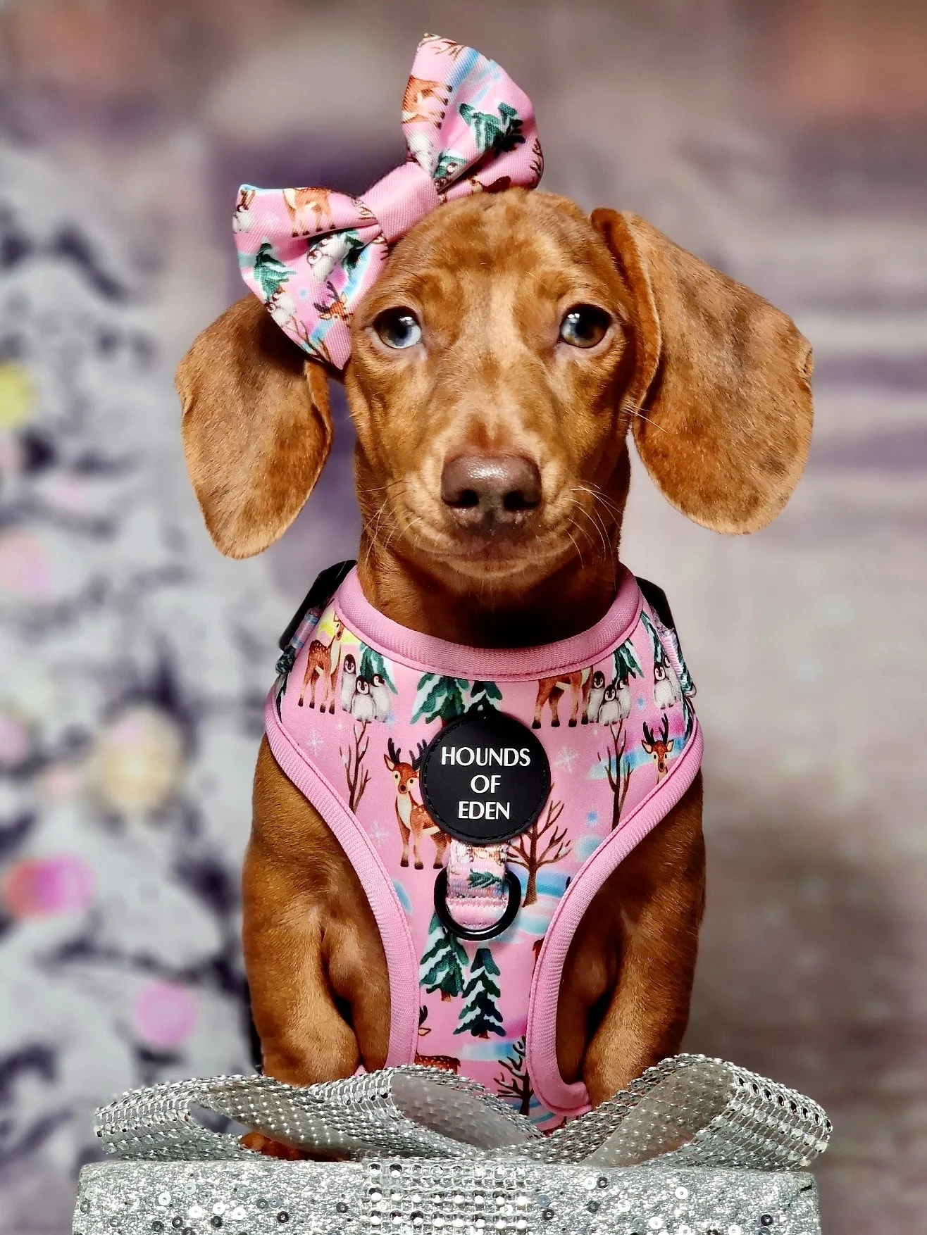 Aurora Nights - Pink Penguin Design Dog Collar - Image 4