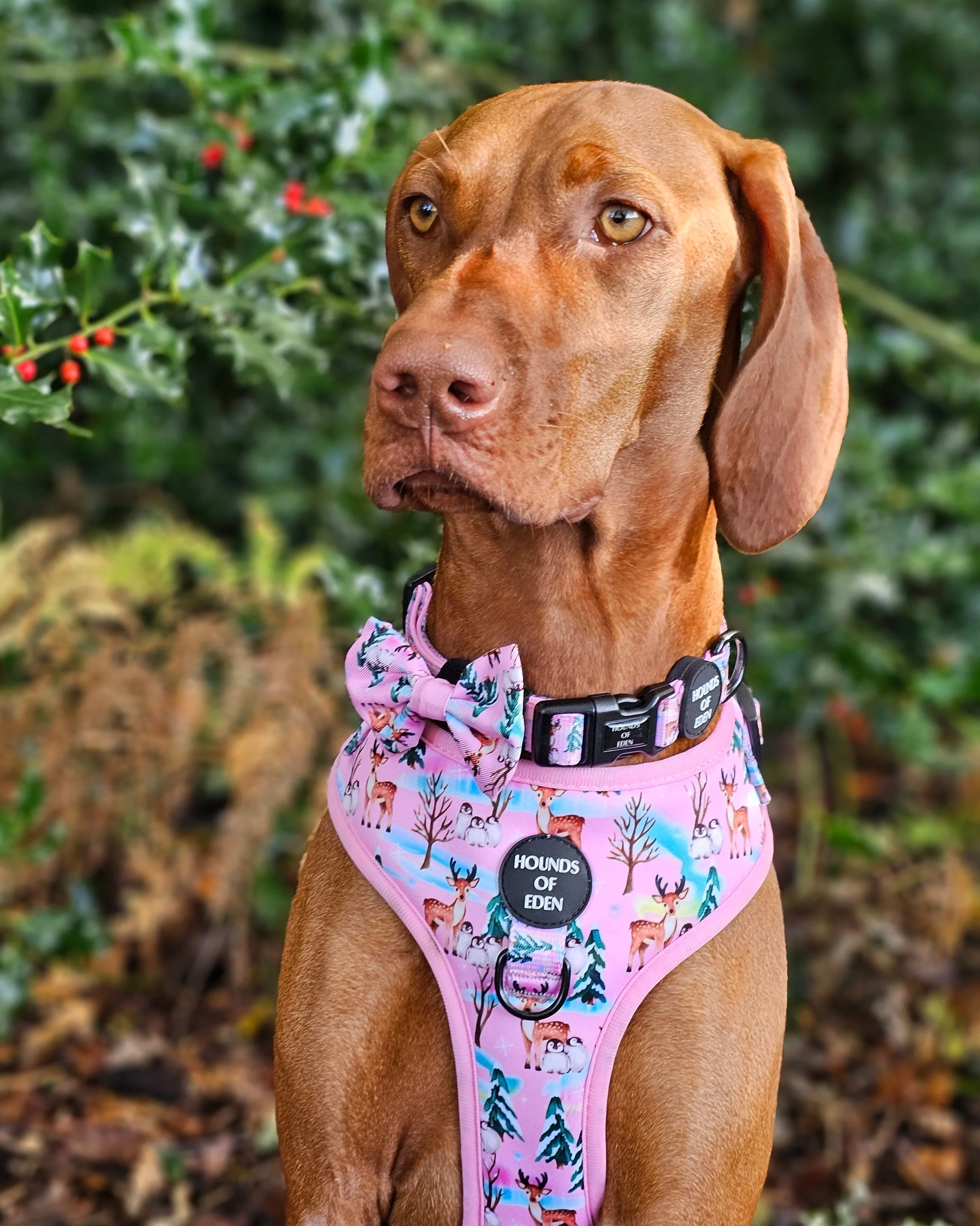 Aurora Nights - Pink Penguin Dog Snood - Image 5