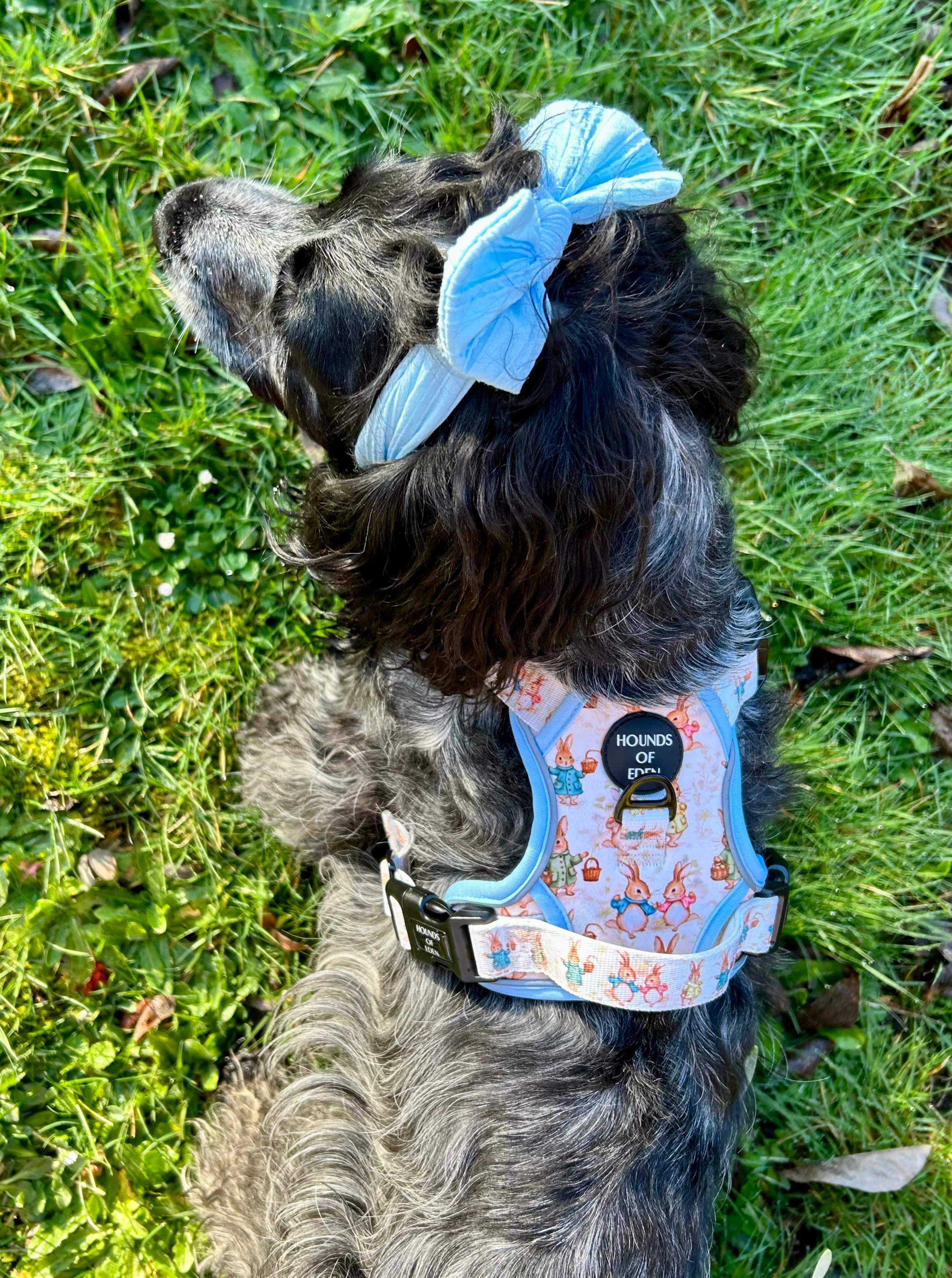 Bunny Tales - Blue, Dog Supaw Strong™ Lite Harness (XS-XL) - Image 12