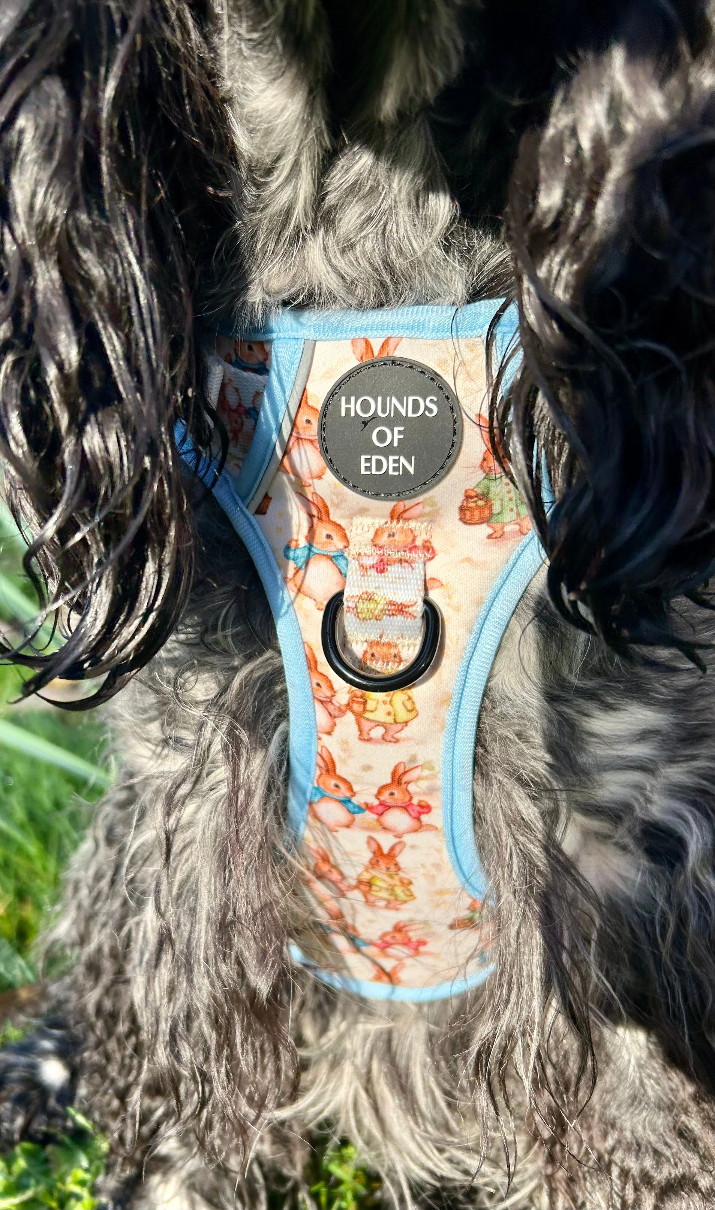 Bunny Tales - Blue, Dog Supaw Strong™ Lite Harness (XS-XL) - Image 21