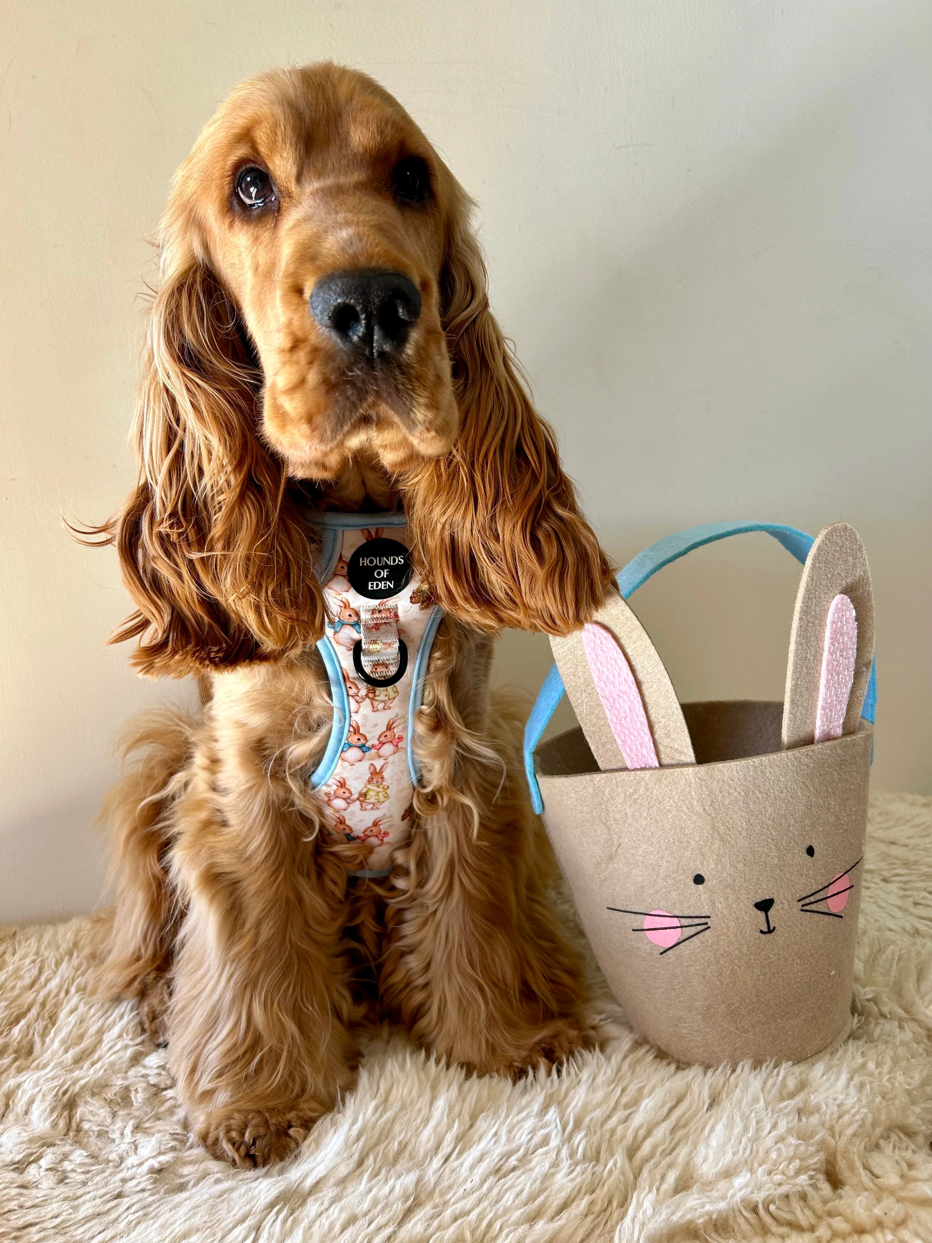 Bunny Tales - Blue, Dog Supaw Strong™ Lite Harness (XS-XL) - Image 23