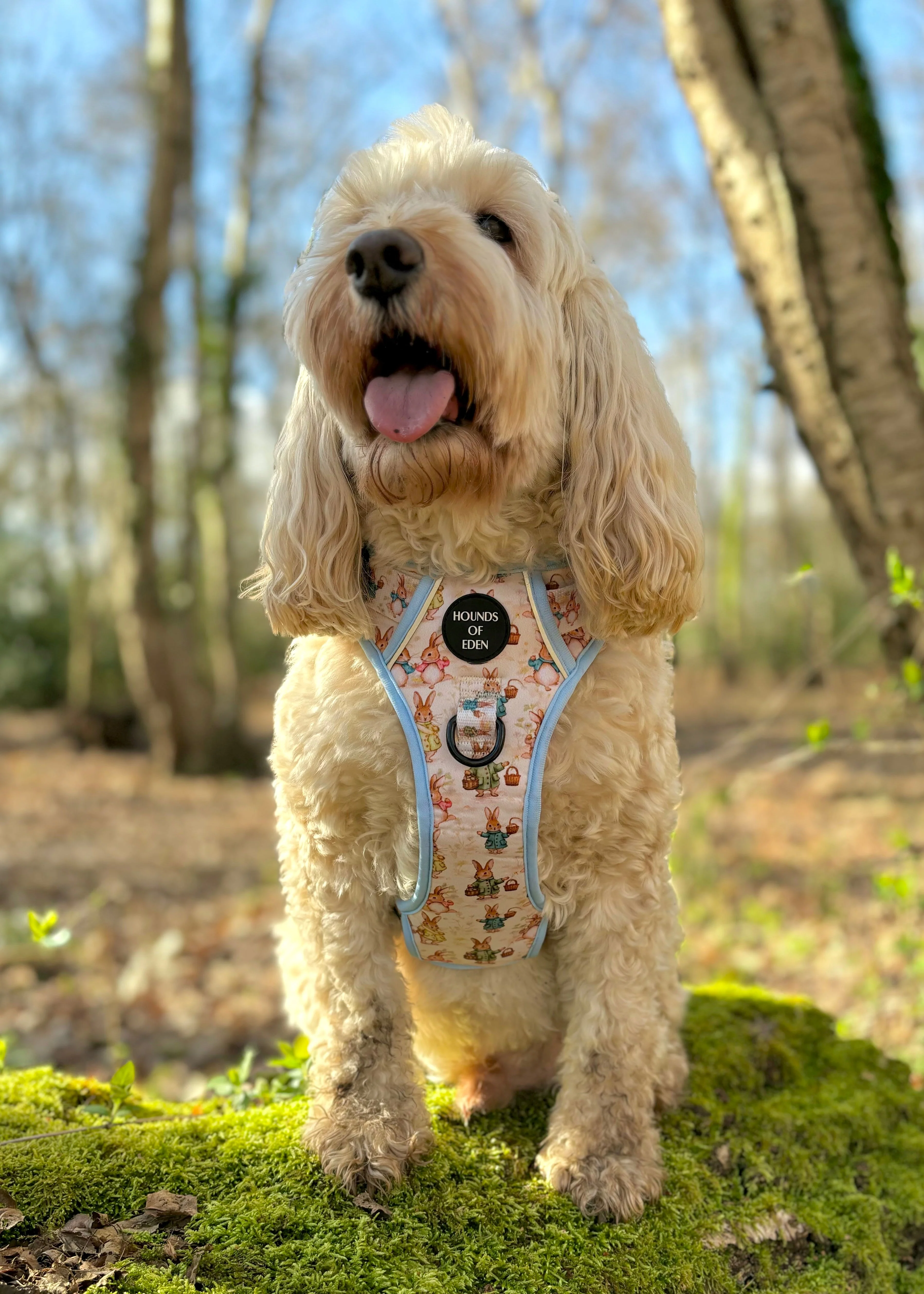 Bunny Tales - Blue, Dog Supaw Strong™ Lite Harness (XS-XL) - Image 6