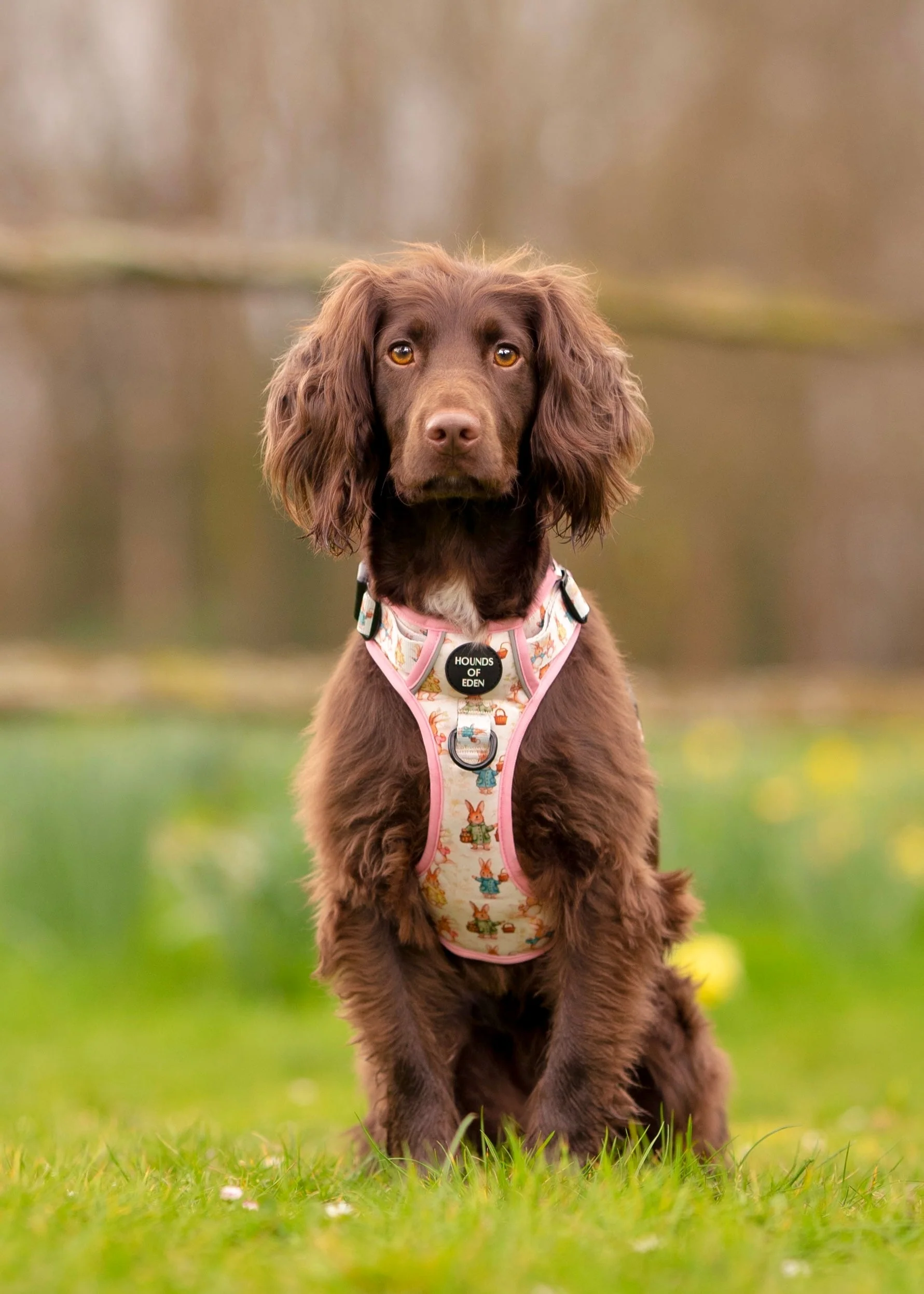 Bunny Tales - Pink, Dog Supaw Strong™ Lite Harness (XS-XL) - Image 4