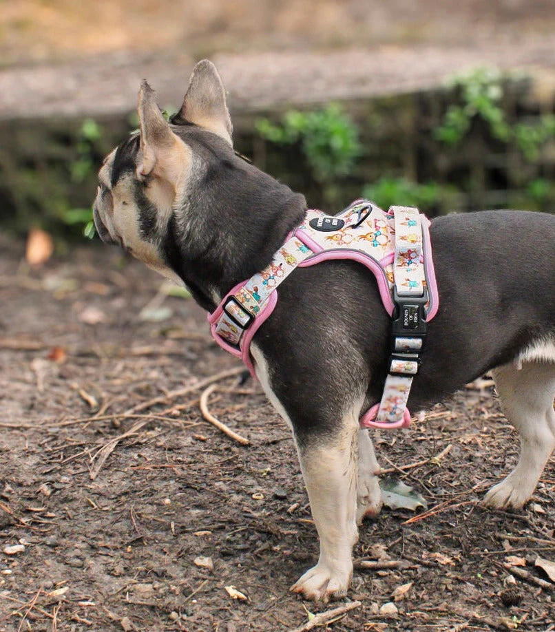 Bunny Tales - Pink, Dog Supaw Strong™ Lite Harness (XS-XL) - Image 7