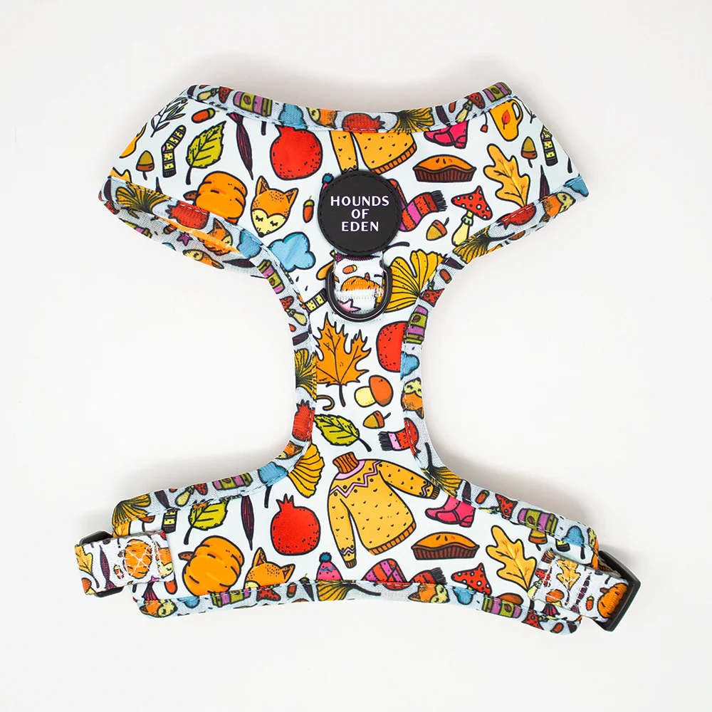 Country Pupkin - Autumnal Doodle Dog Collar - Image 2