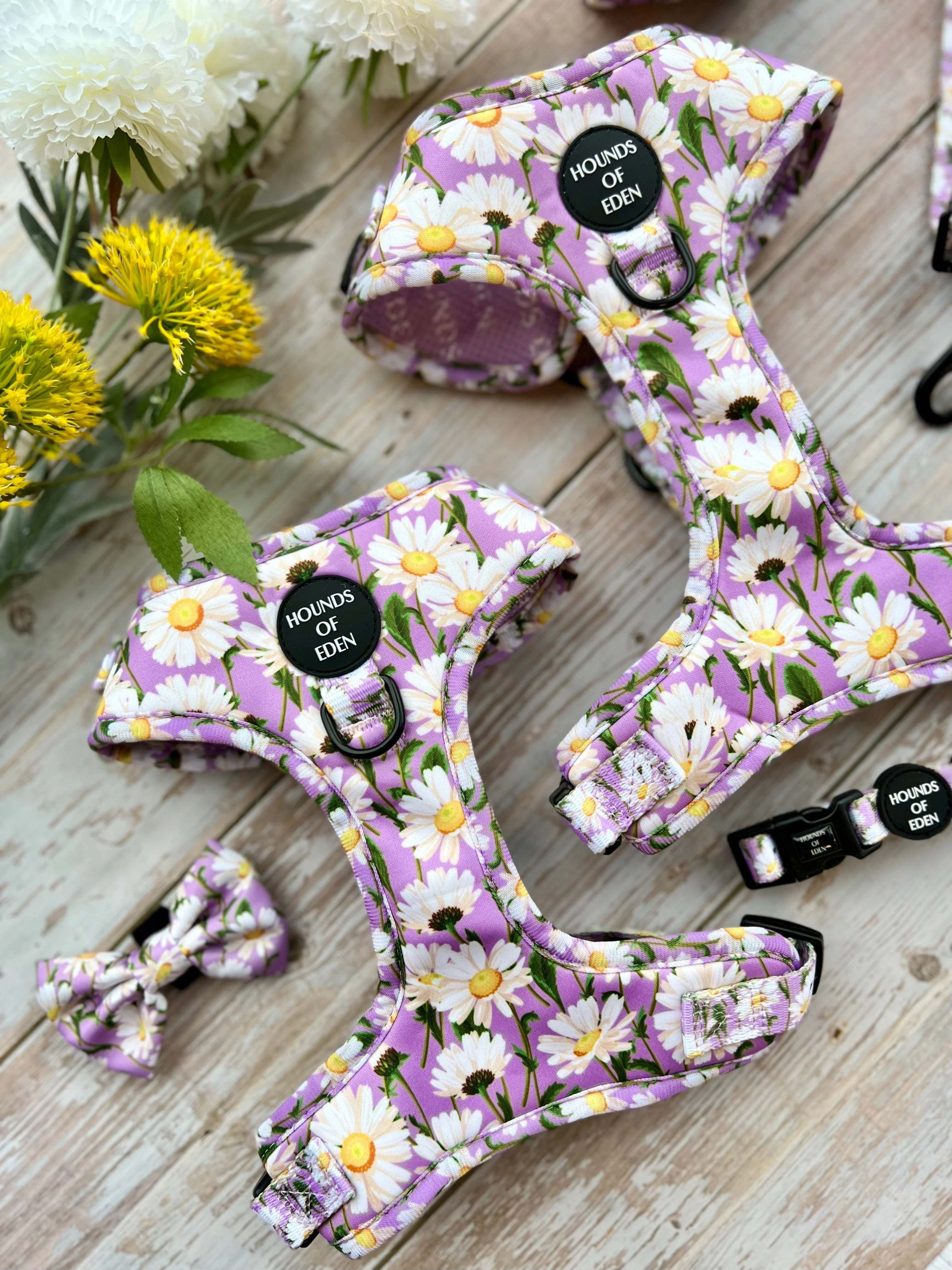 Daisy Dreams Design Dog Collar - Image 3