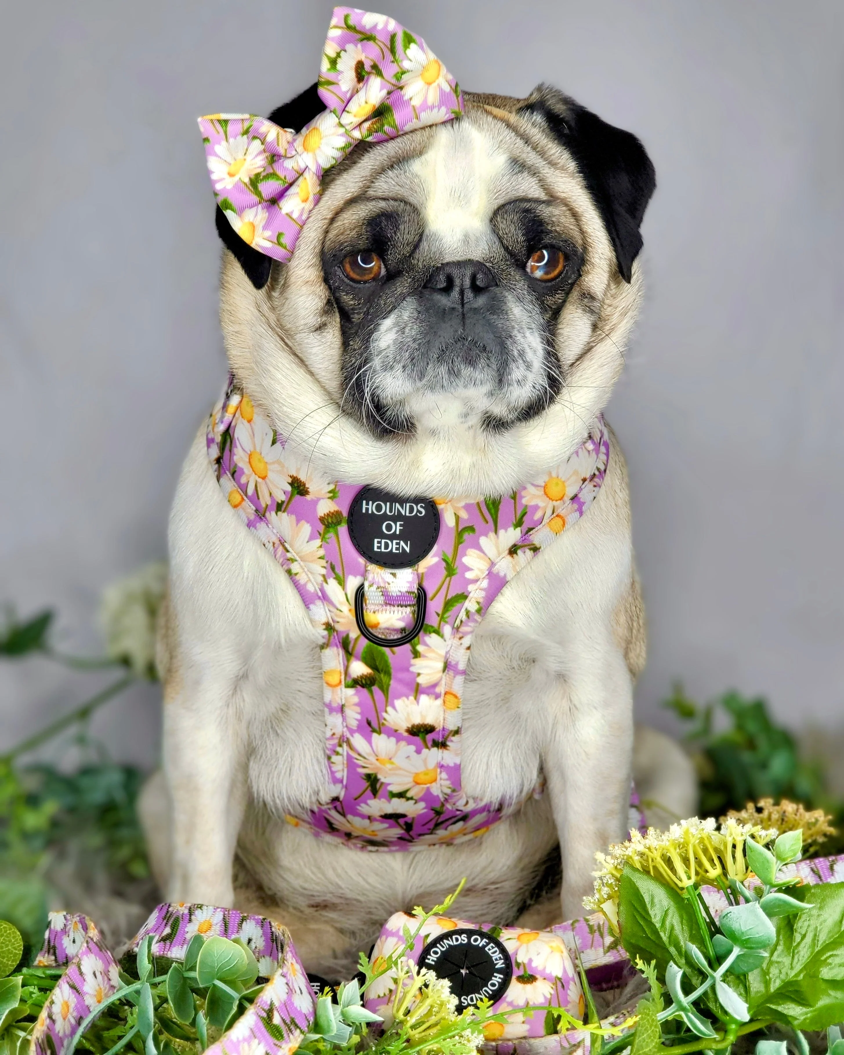 Daisy Dreams Design Poop Bag Holder - Image 3
