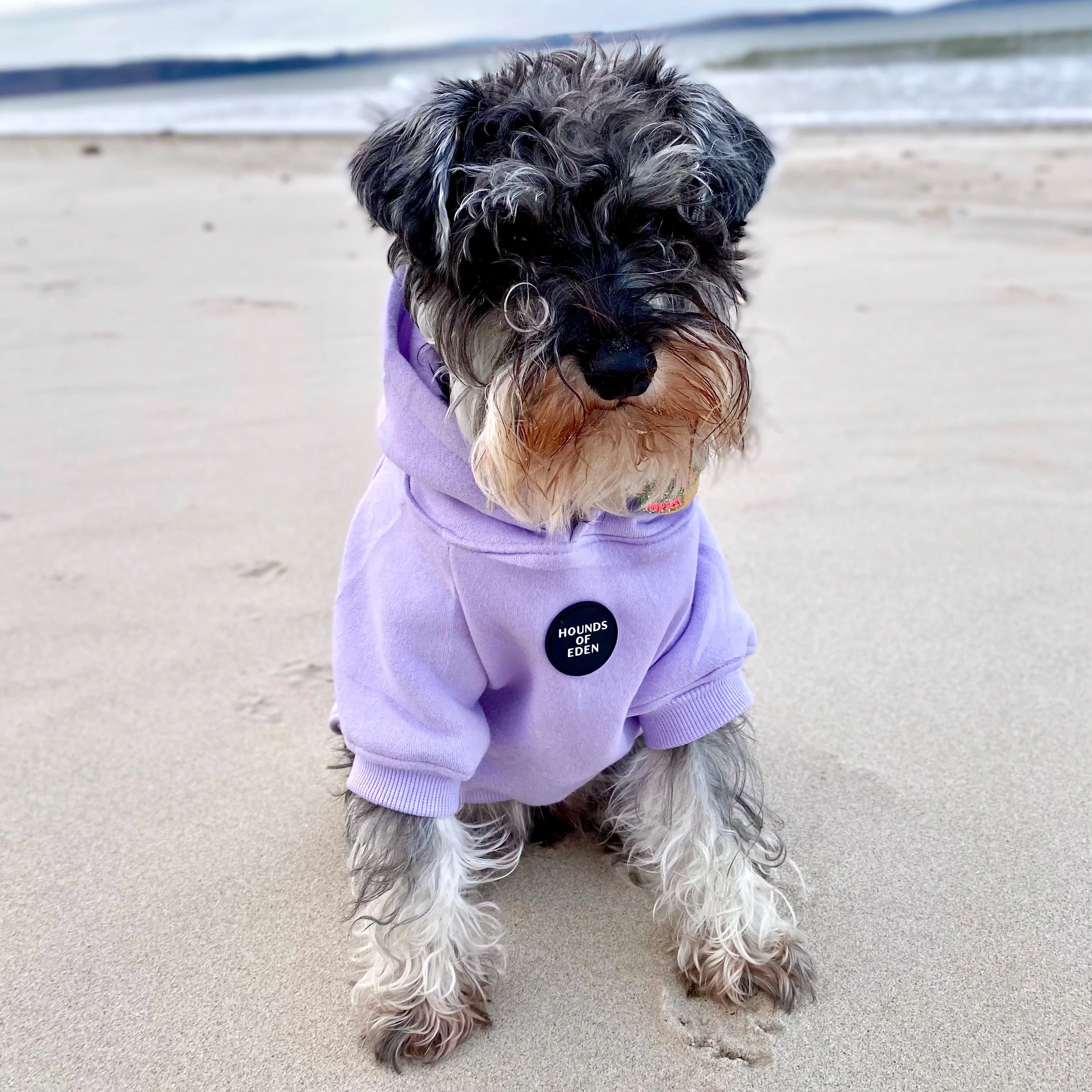 Dog Hoodie - Grey - Image 17