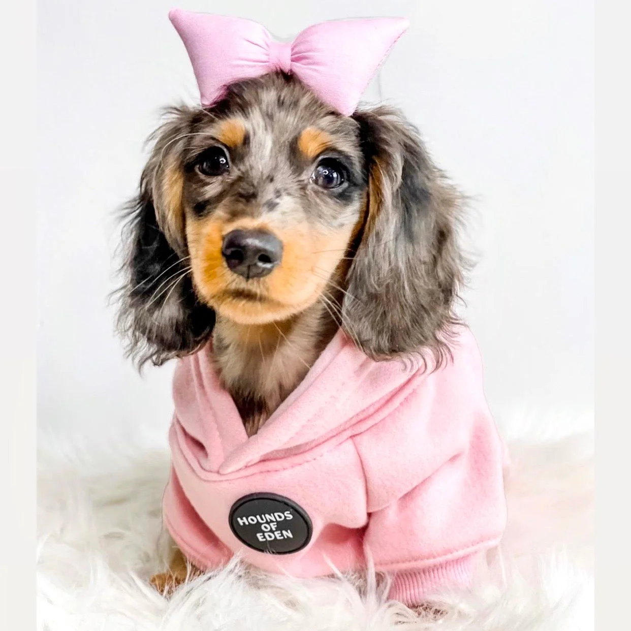 Dog Hoodie - Grey - Image 3