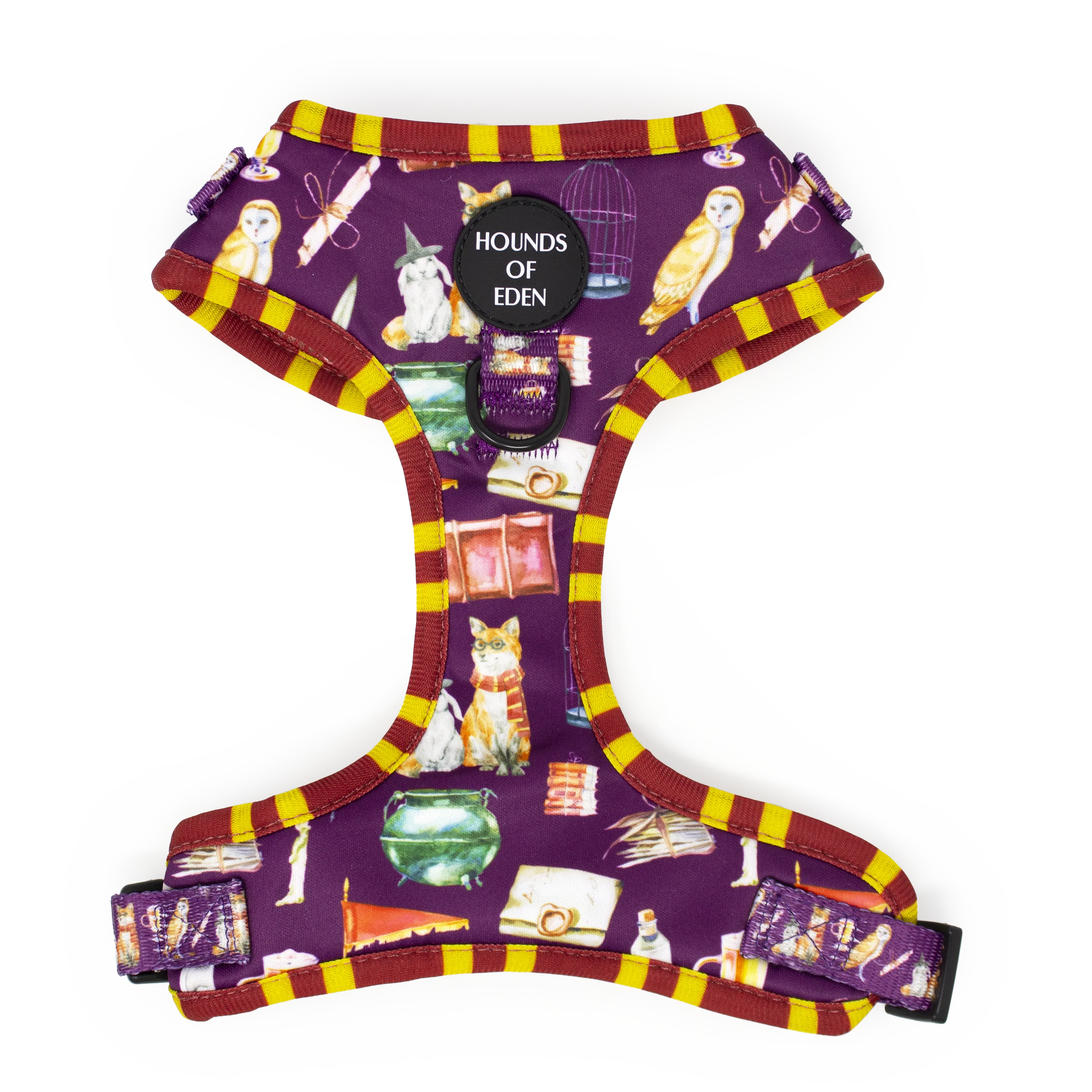 Harry Pawter Design Dog Collar - Image 13