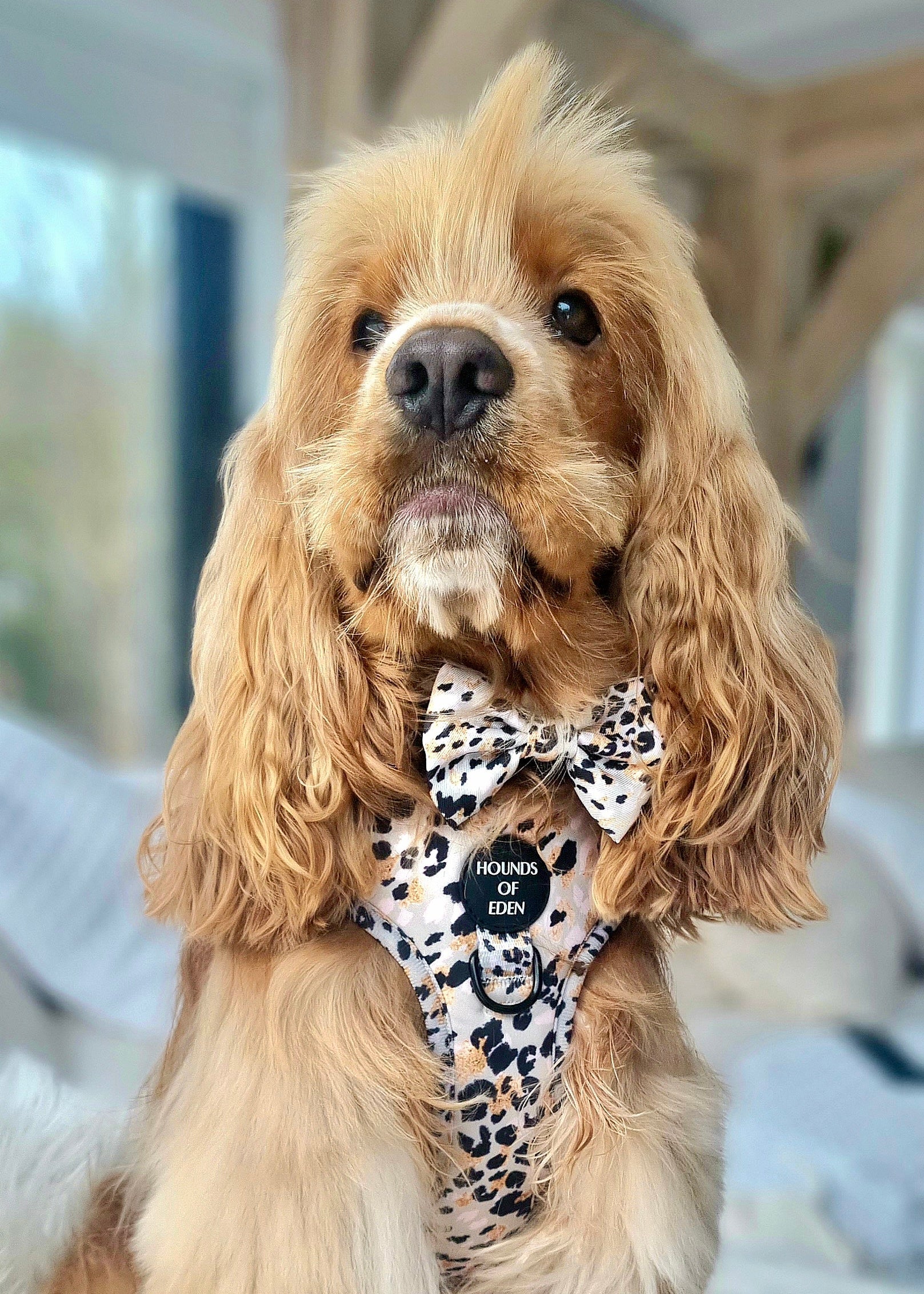 Sage Leopard Design Dog Bow Tie - Image 3