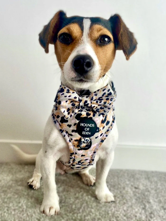 Sage Leopard Design Dog Bow Tie - Image 4