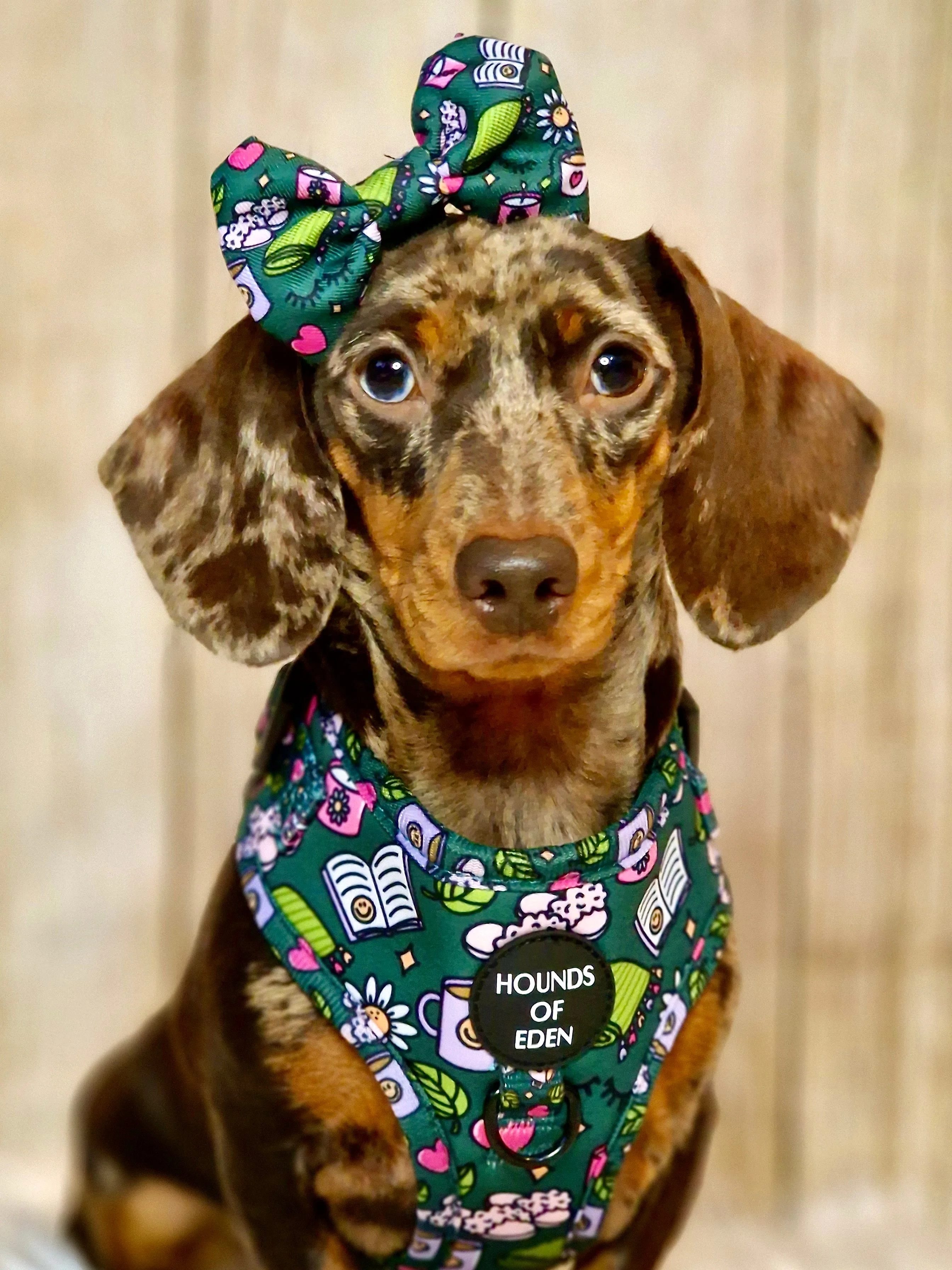 Self Care Design Dog Collar - Image 6