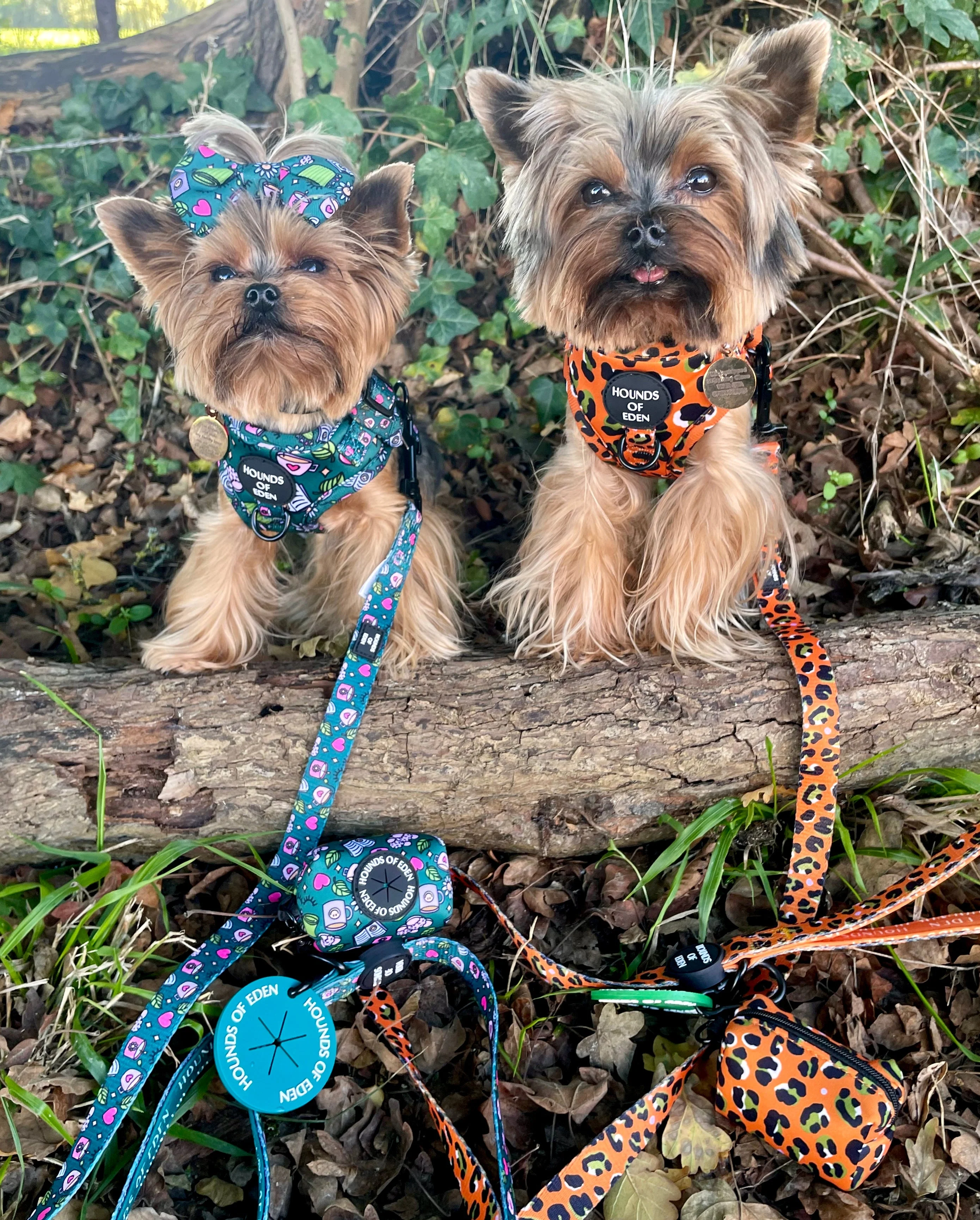 Self Care Design Dog Harness - Image 5