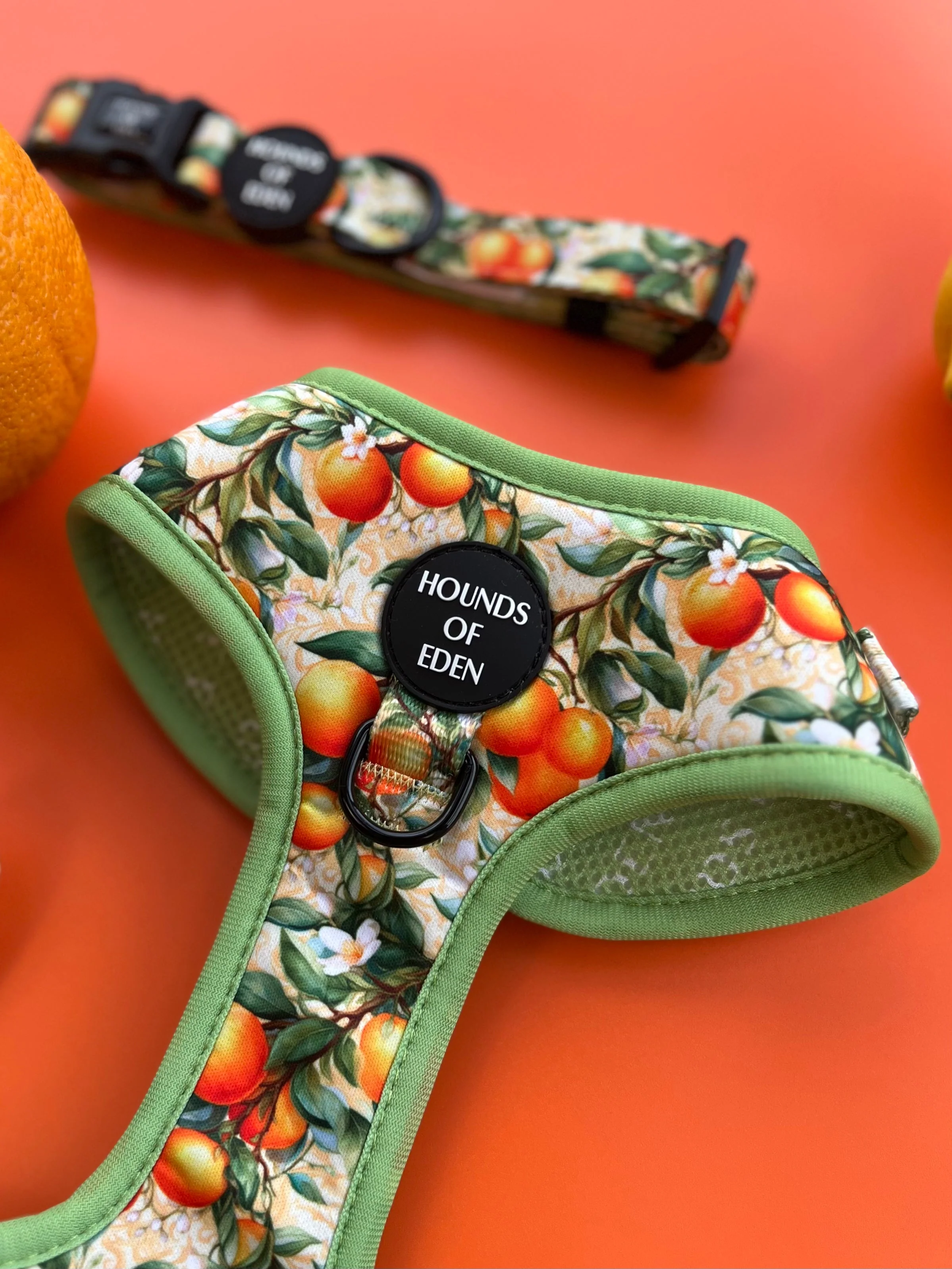 Simply the Zest - Oranges Dog Harness - Image 10
