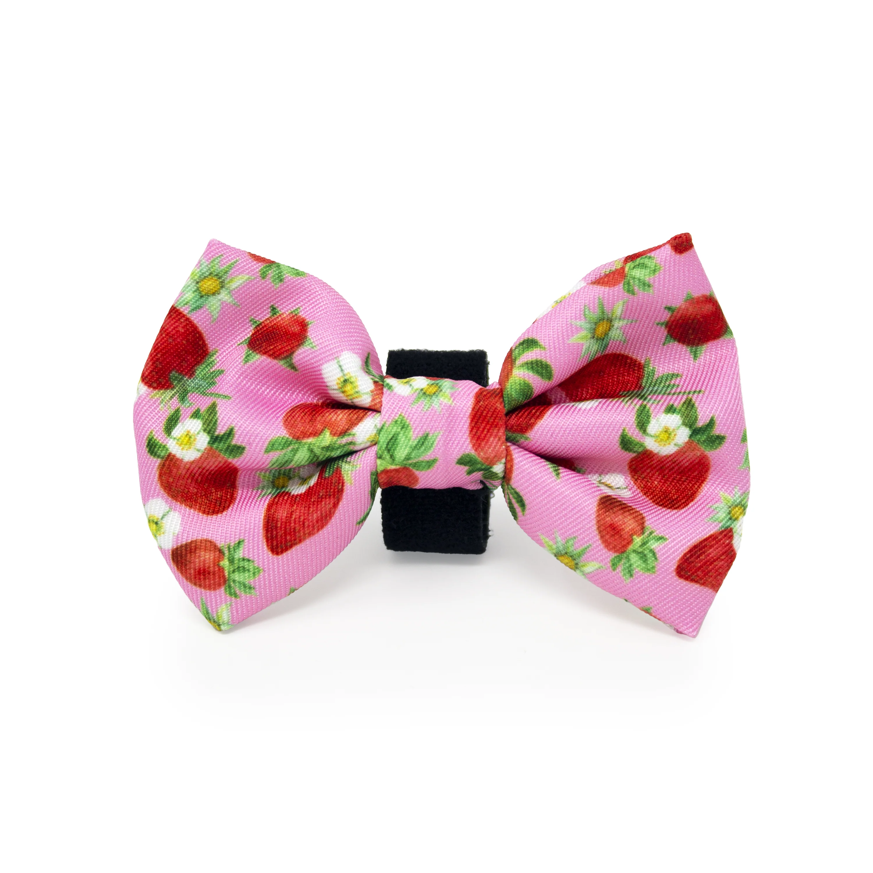 Strawberry Patch Design Dog Harness - Image 22