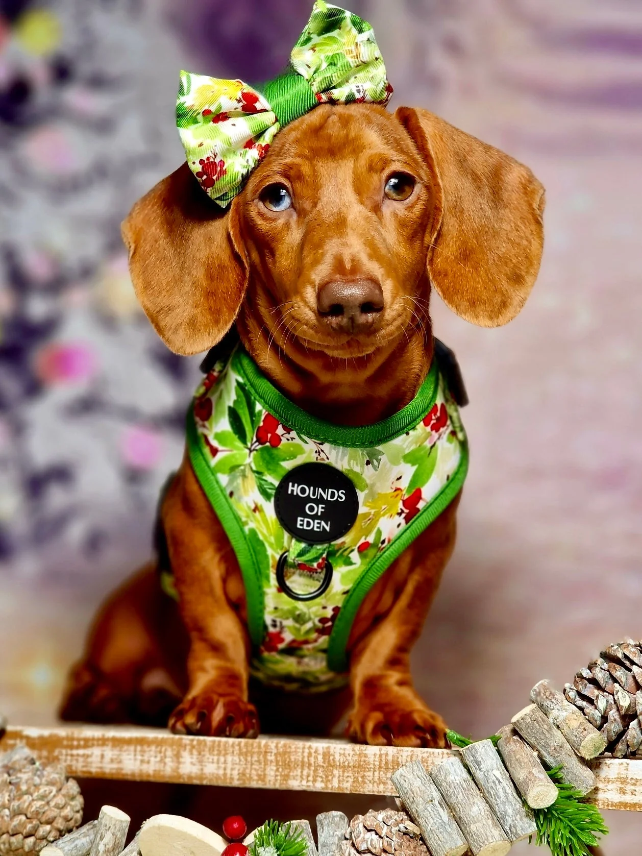 Winter Spruce & Berries Design Dog Collar - Image 14