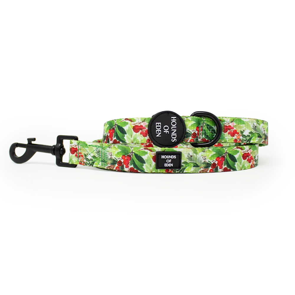 Winter Spruce & Berries Design Dog Harness - Image 21