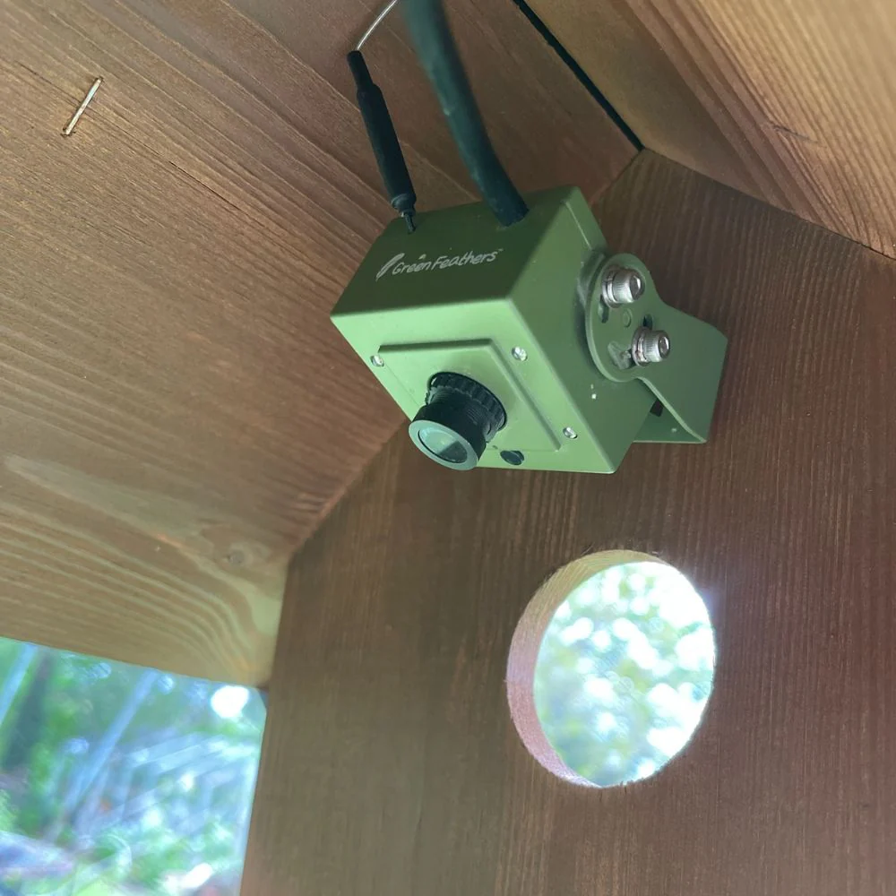 Hugo Bird Table - Image 10