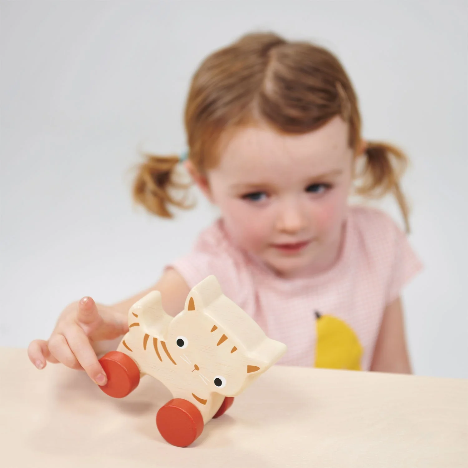 Kitten On Wheels - Image 2