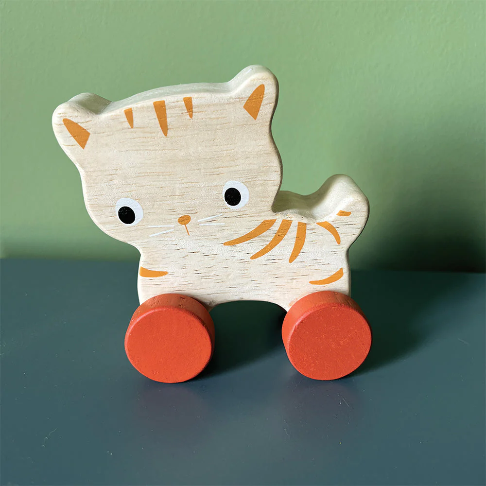 Kitten On Wheels - Image 3