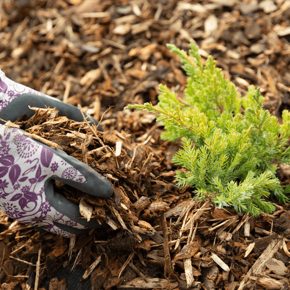 Landscaping Garden Bark Mulch - Image 11