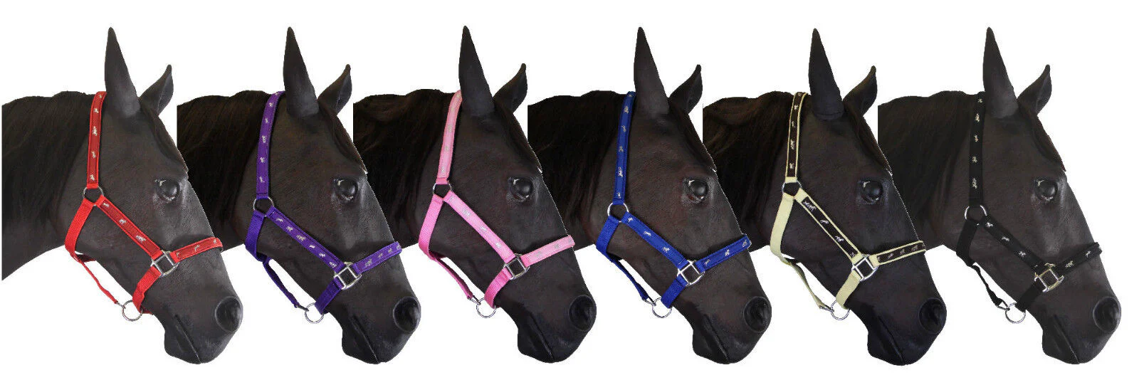 Padded Headcollar - Image 6