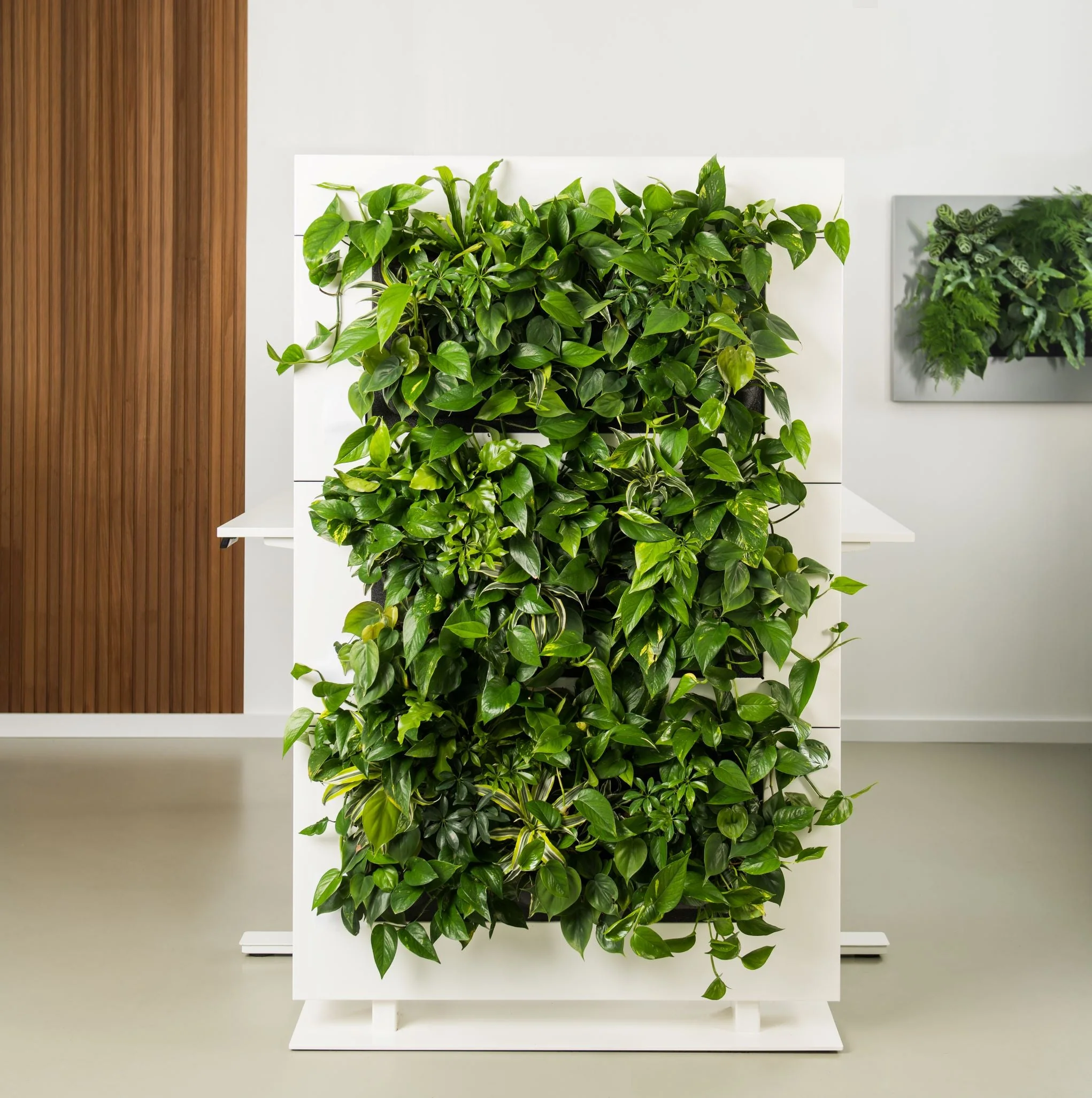 Living Wall Divider - 131cm - White - Image 3