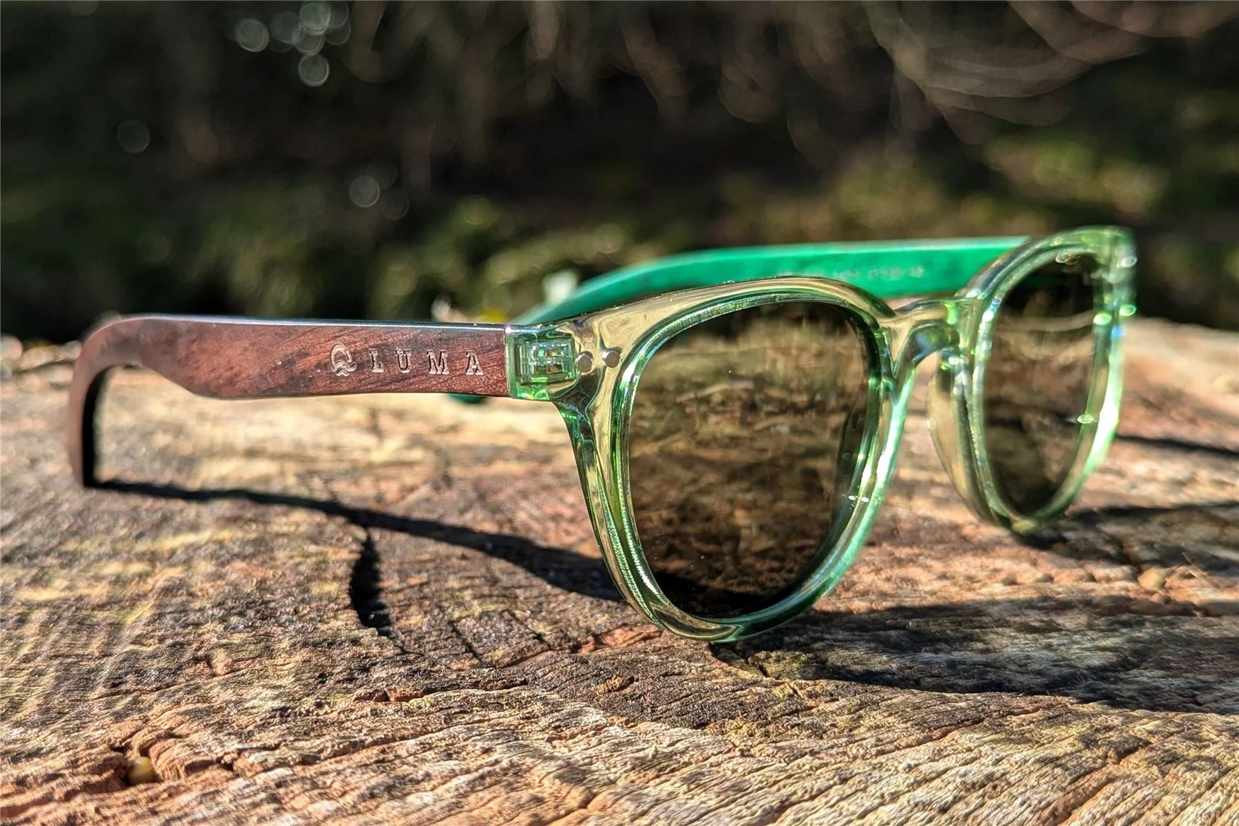 Luma Sunglasses - Holywell - Green - Image 4