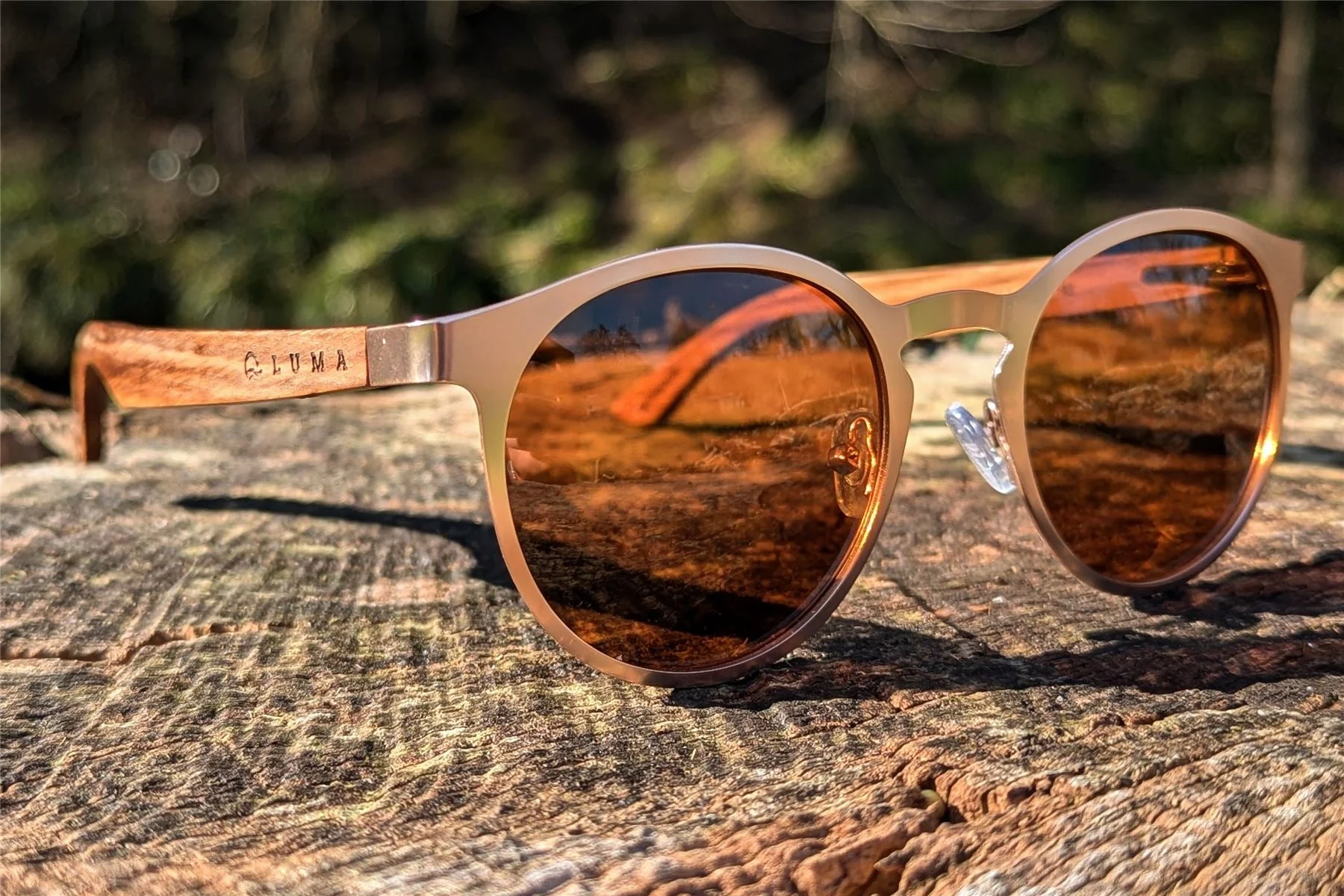 Luma Sunglasses - St Ives - Rose Gold - Image 2