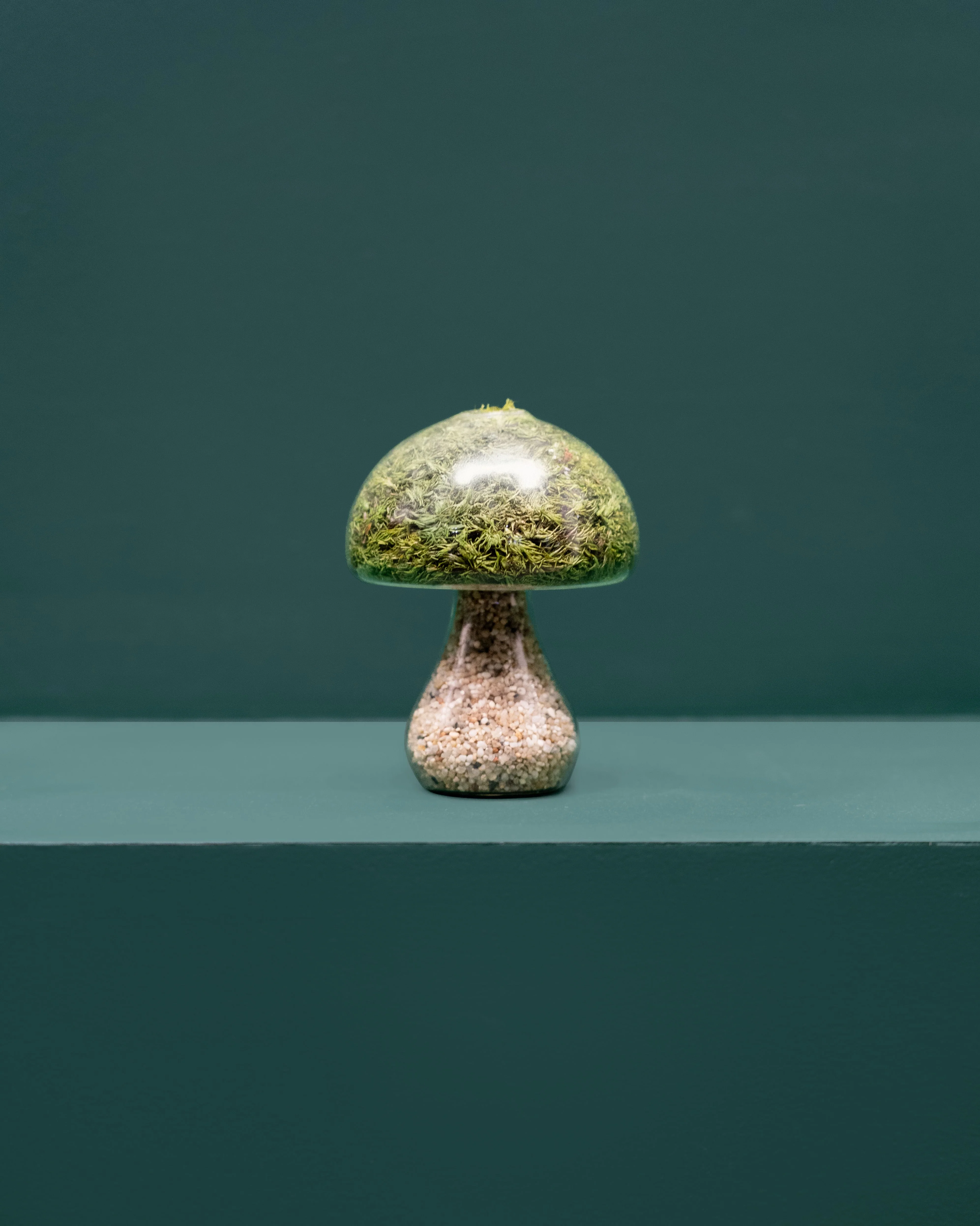 Moss Mushroom - Round - Light Stone