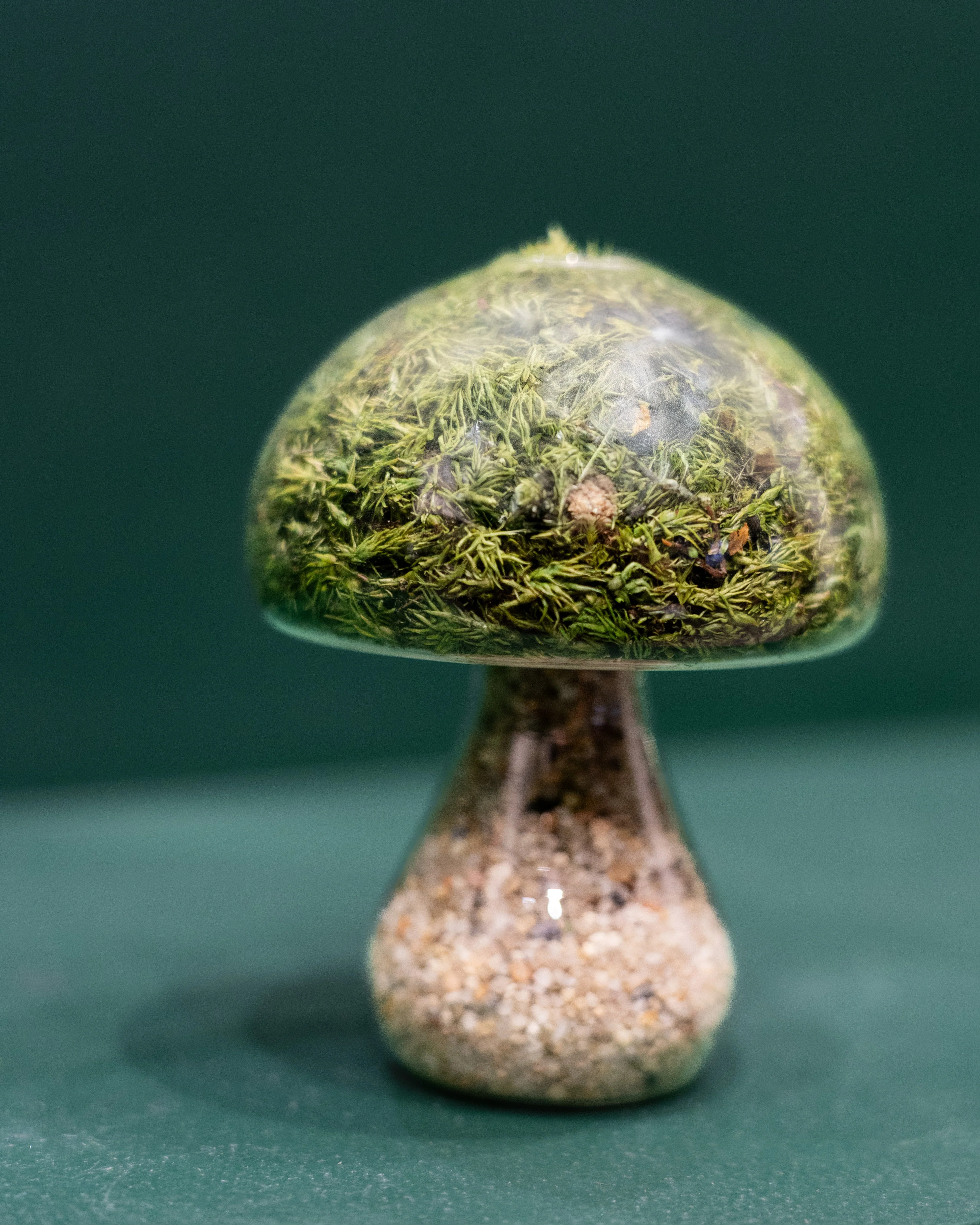 Moss Mushroom - Round - Light Stone - Image 3
