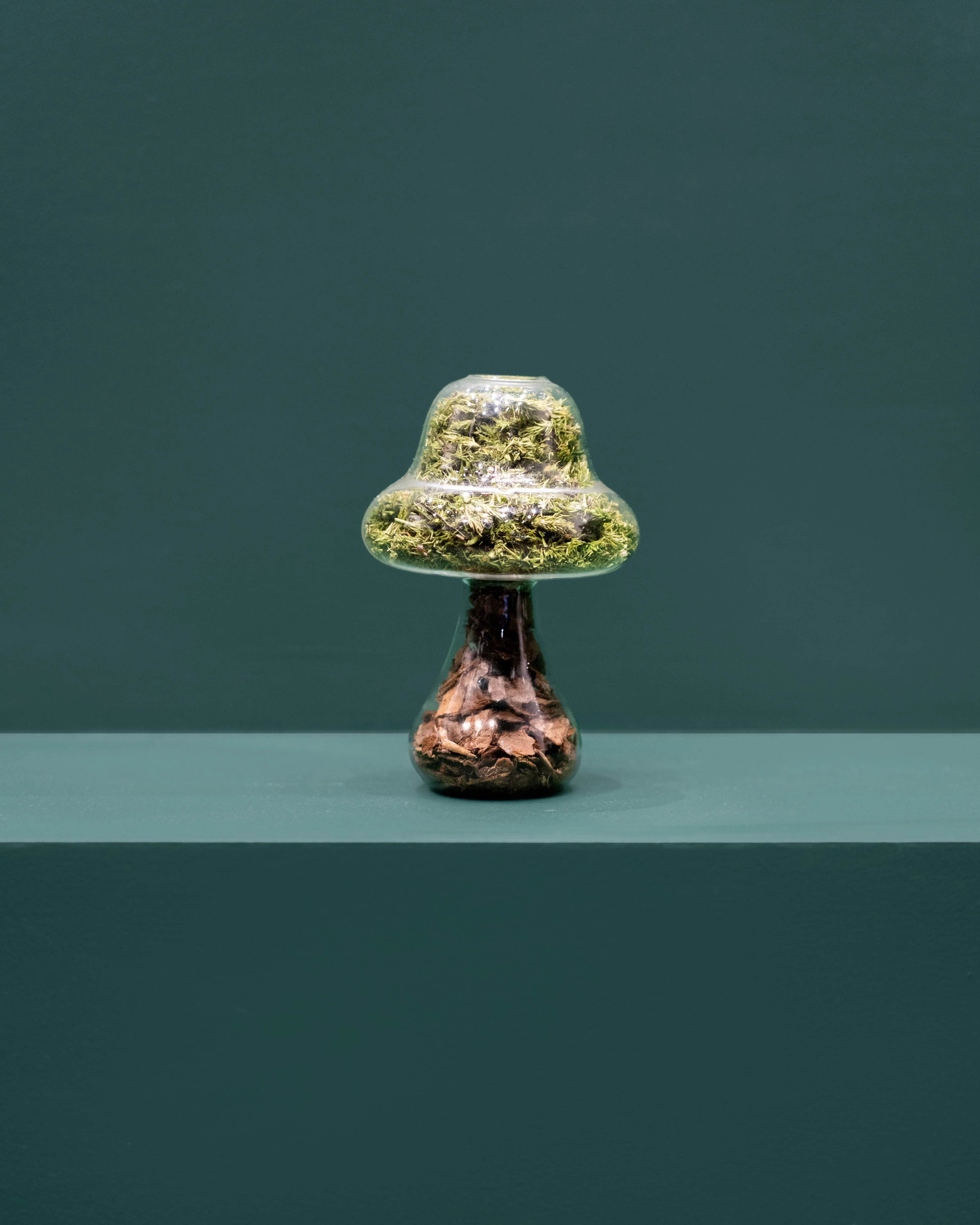 Moss Mushroom - Tall - Bark