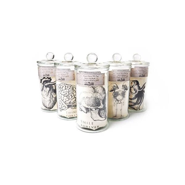 Mr Sci Glass Specimen Jar & Science Tote Bag Fighting Forever (Beetle) - Image 6