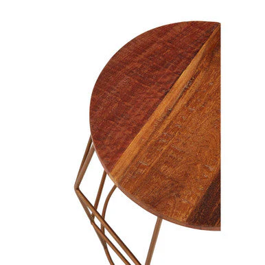 Natural Recycled Wood Top Rounded Side Table with Brass Iron Wireframe Base, Nandri - Image 3