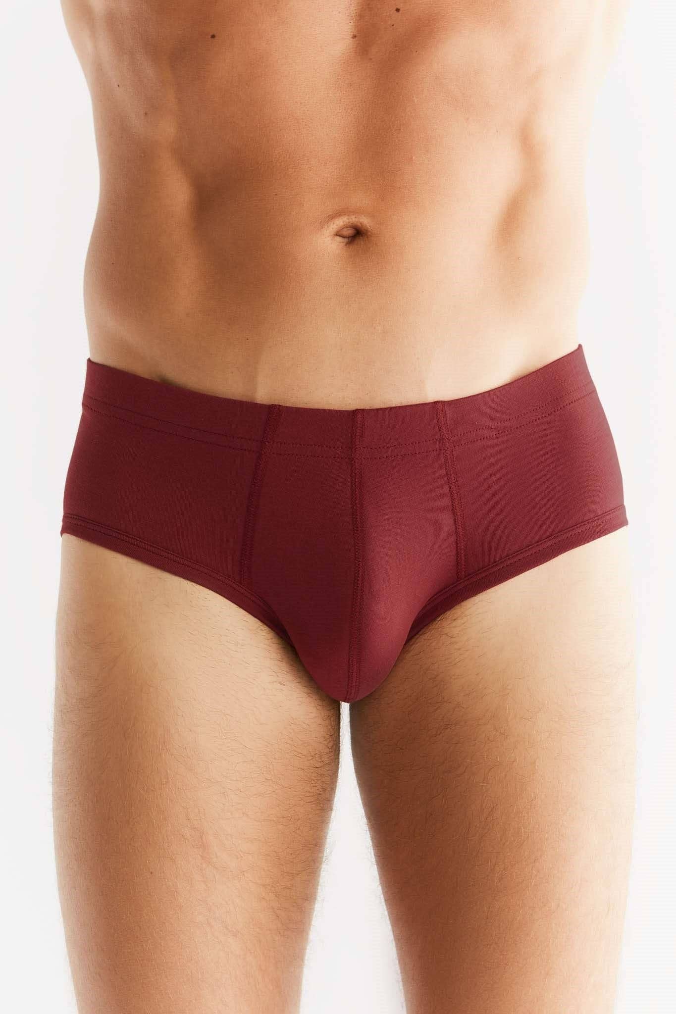 Organic Cotton Briefs: Mens - Image 14
