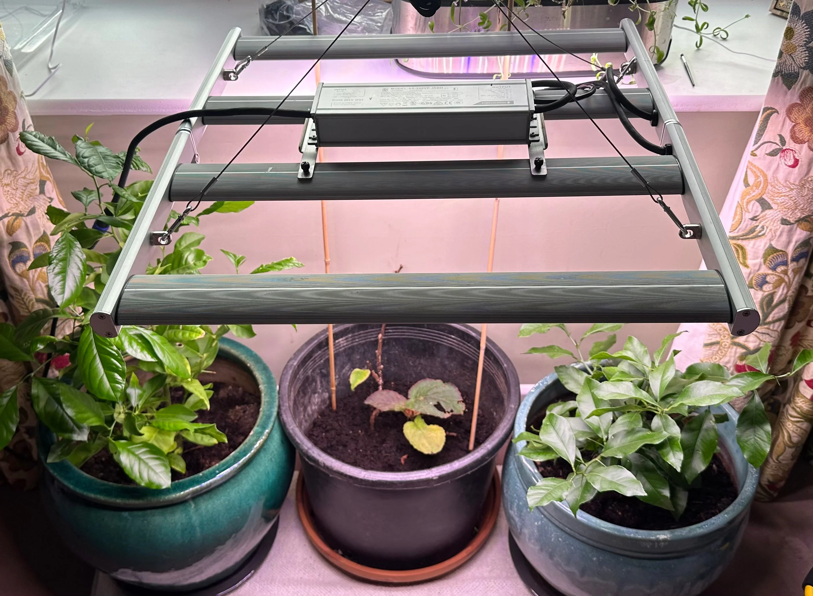 Overhead 200W LED Grow Light | Full Spectrum Hydroponics - Image 4