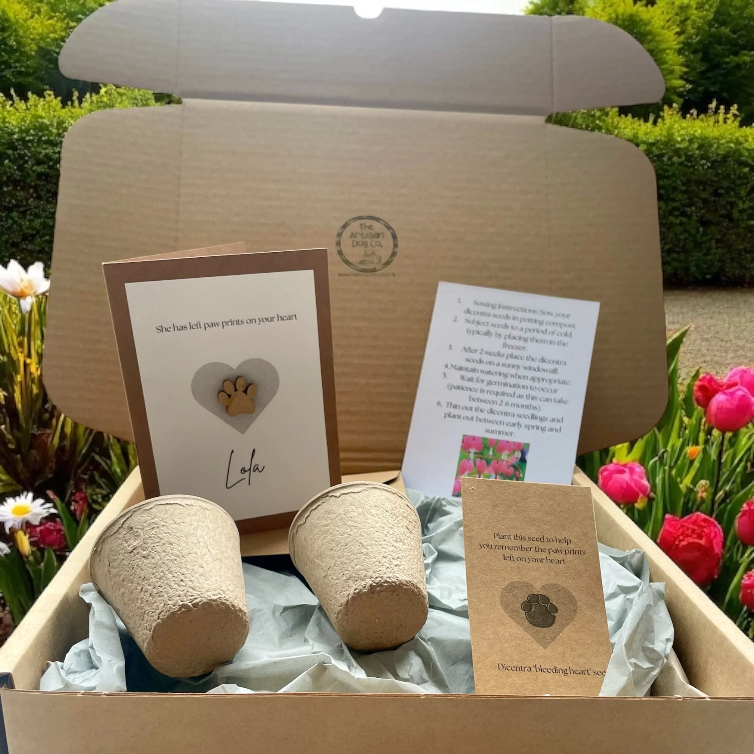 Pawprints on Your Heart Gift Set (Pet Bereavement/Pet Loss) - Image 4